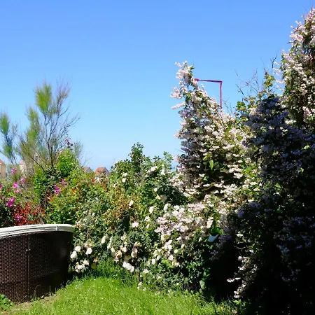 Apartman Sea Wind And Sun *