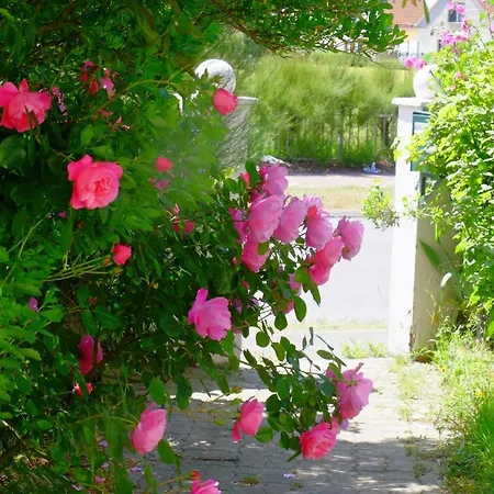 Sea Wind And Sun Appartement Wimereux